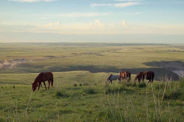 马背旅行，我选择新疆的3个理由