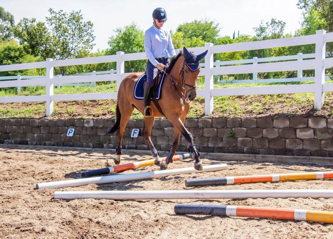 地杆：简单却高效的训练利器（附进阶训练计划）