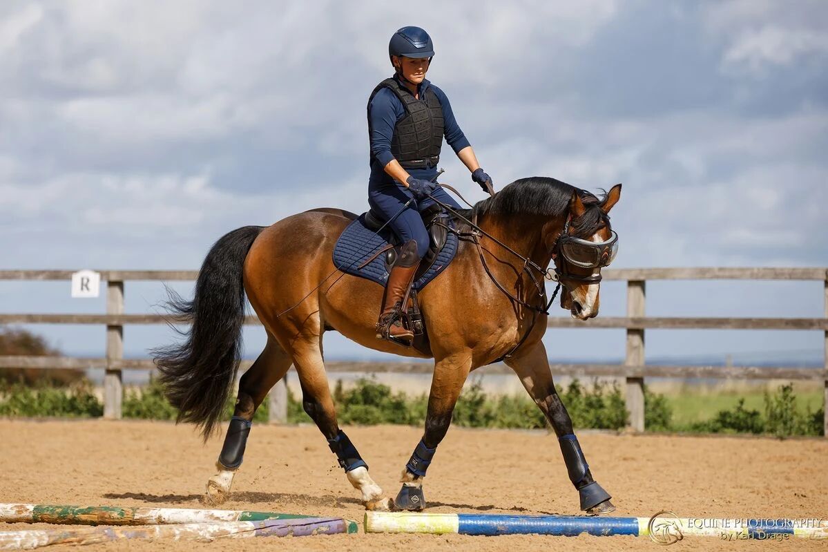 高效训练的前提：让马一次只需要“理解一件事”