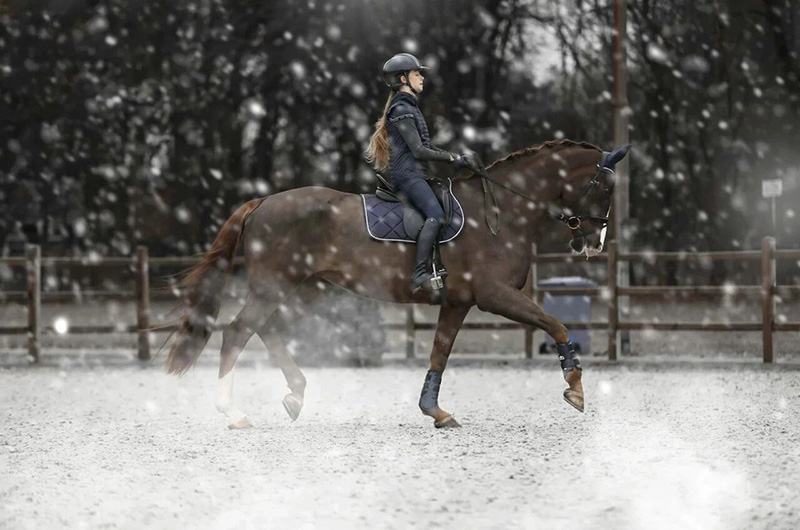 冬季训练必修：马匹热身、训练与放松的完整流程