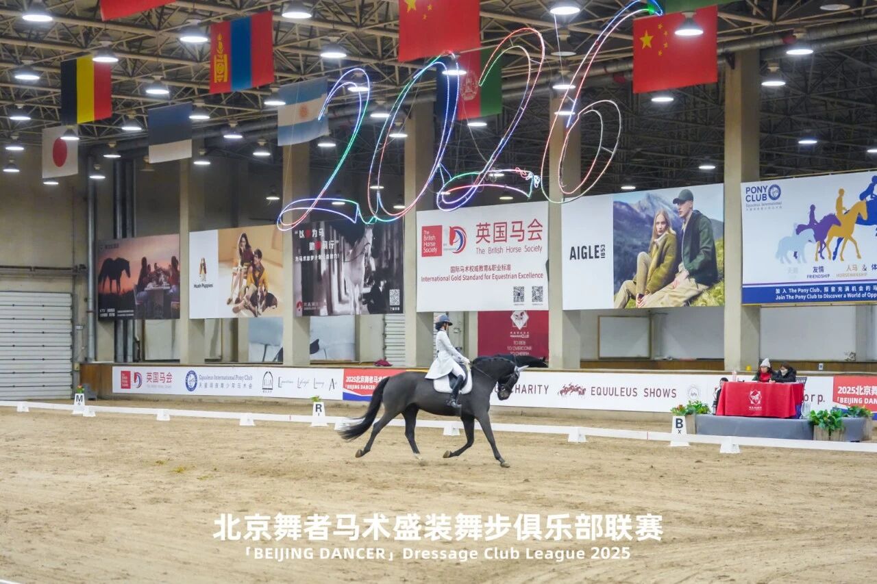 人马同行，逐梦舞步：“北京舞者”总决赛回顾