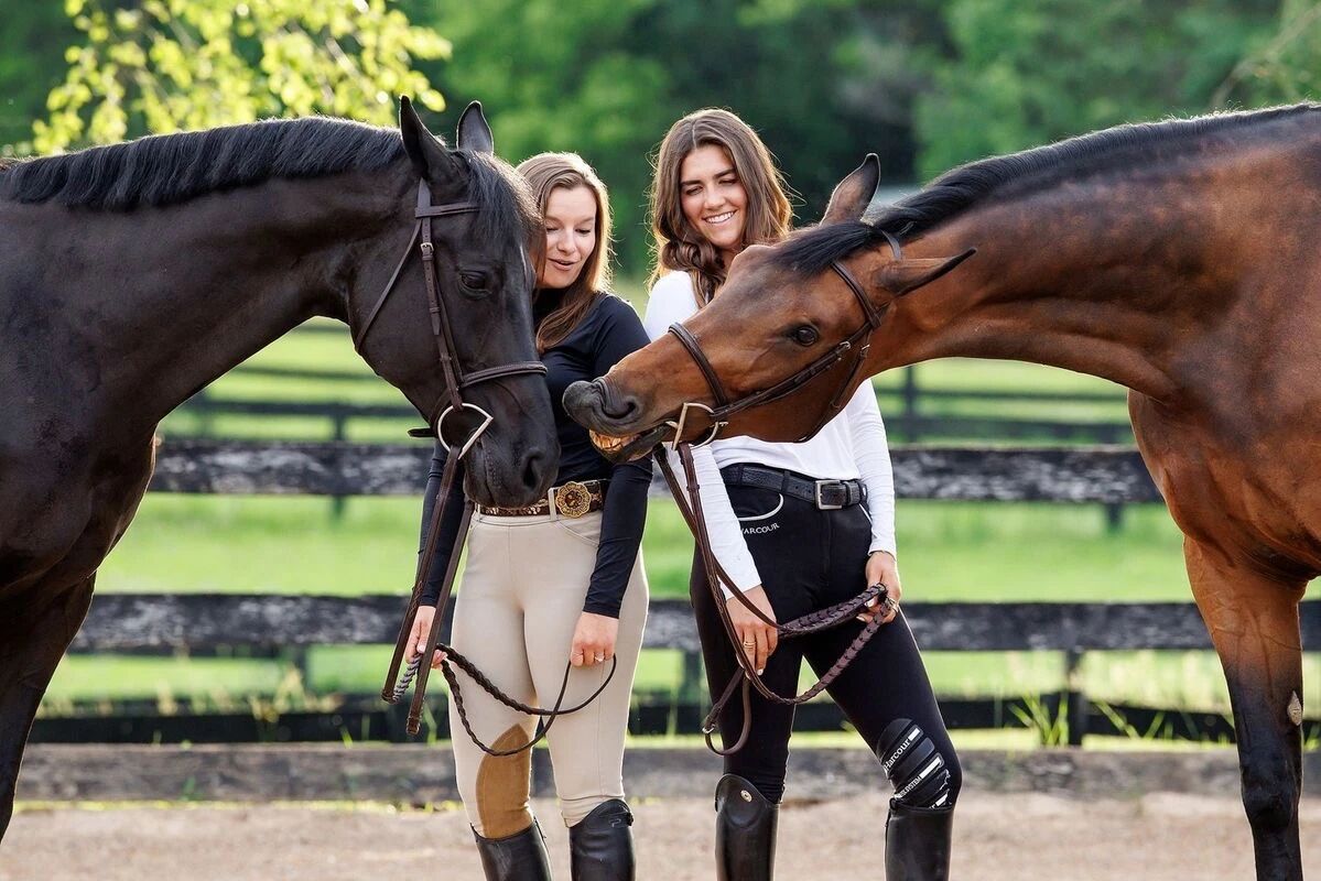 马真的会“记仇”吗？从行为学看马的记忆系统