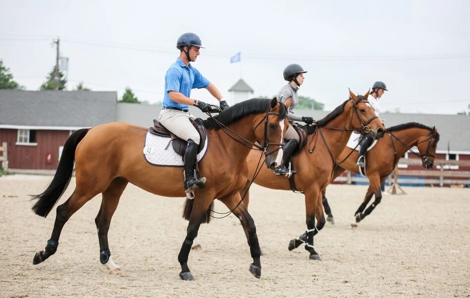 坐，还是不坐？如何在障碍路线中选择适合的骑坐