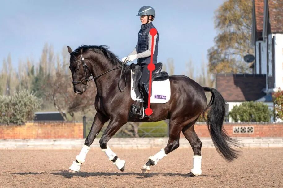 为什么越使劲越不稳？核心力量在骑乘中的作用