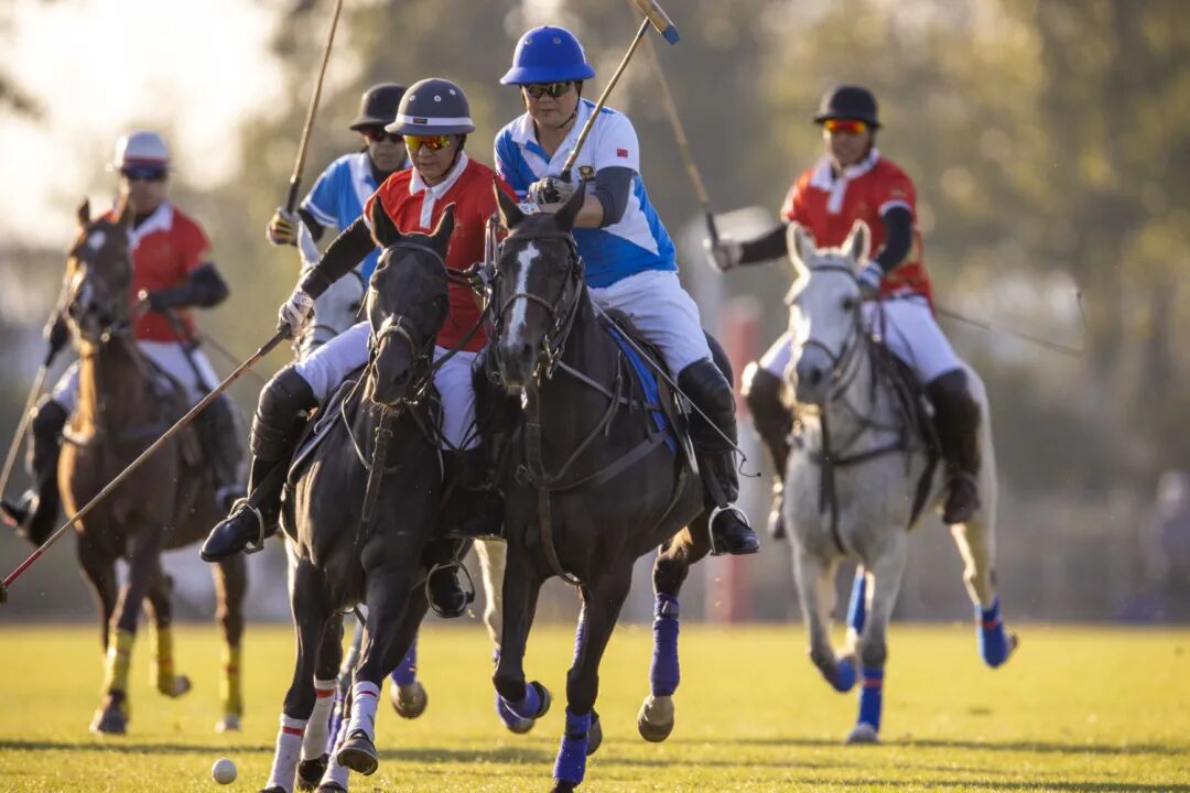 2021“马术杂志杯”马球精英赛唐人队强势取胜
