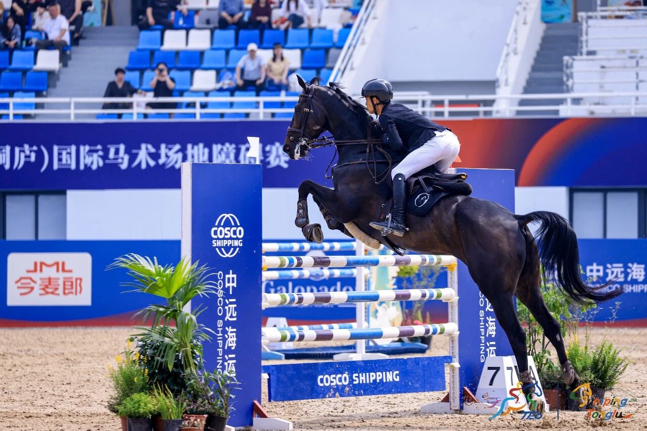 百万奖金｜第四届杭州（桐庐）国际马术公开赛报名开启